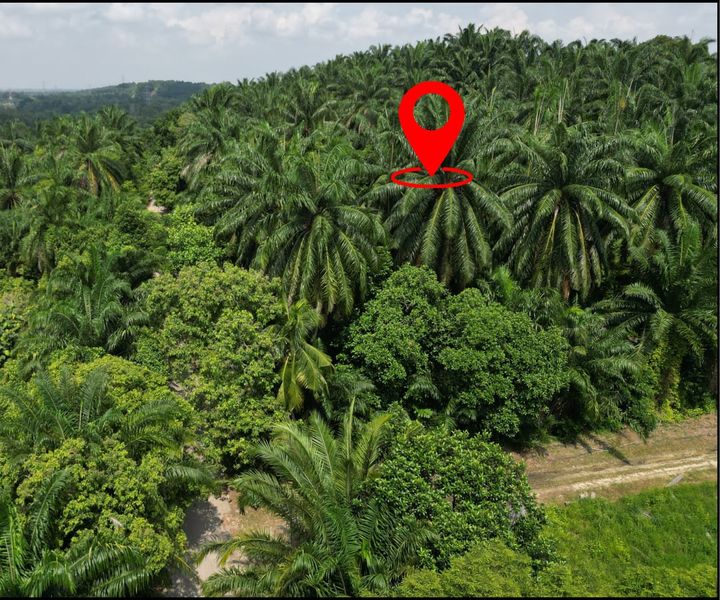 Potential Land 2.66 Acre Bukit Damar near Mex Highway, Selangor, Dengkil