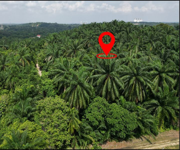 Potential Land 2.66 Acre Bukit Damar near Mex Highway, Selangor, Dengkil
