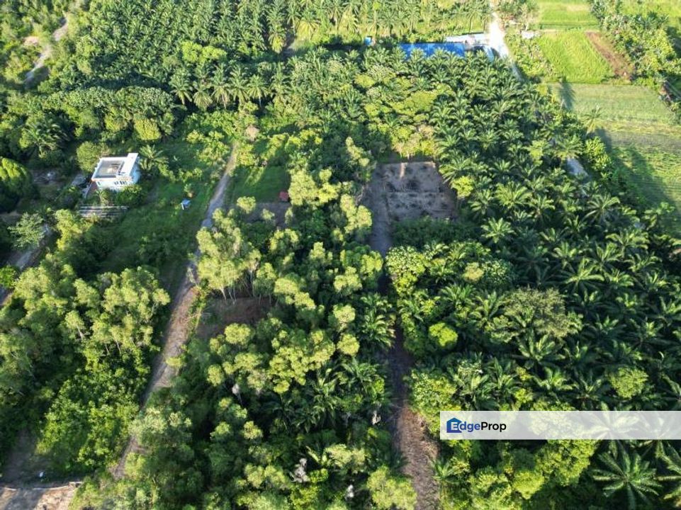 Bungalow Lot Bukit Damar Dengkil Selangor, Selangor, Cyberjaya