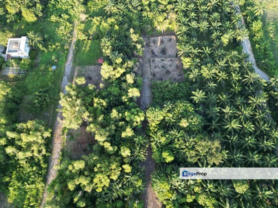 Bungalow Lot Bukit Damar Dengkil Selangor, Selangor, Cyberjaya