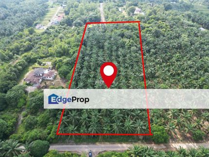 Potential Land 3.01 Acre Bukit Damar Dengkil, Selangor, Dengkil