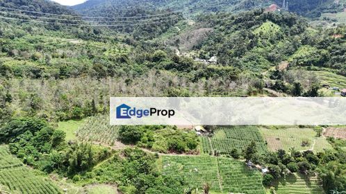 1.9 Acre Land Janda Baik Near Pangkin Campsite, Pahang, Bentong