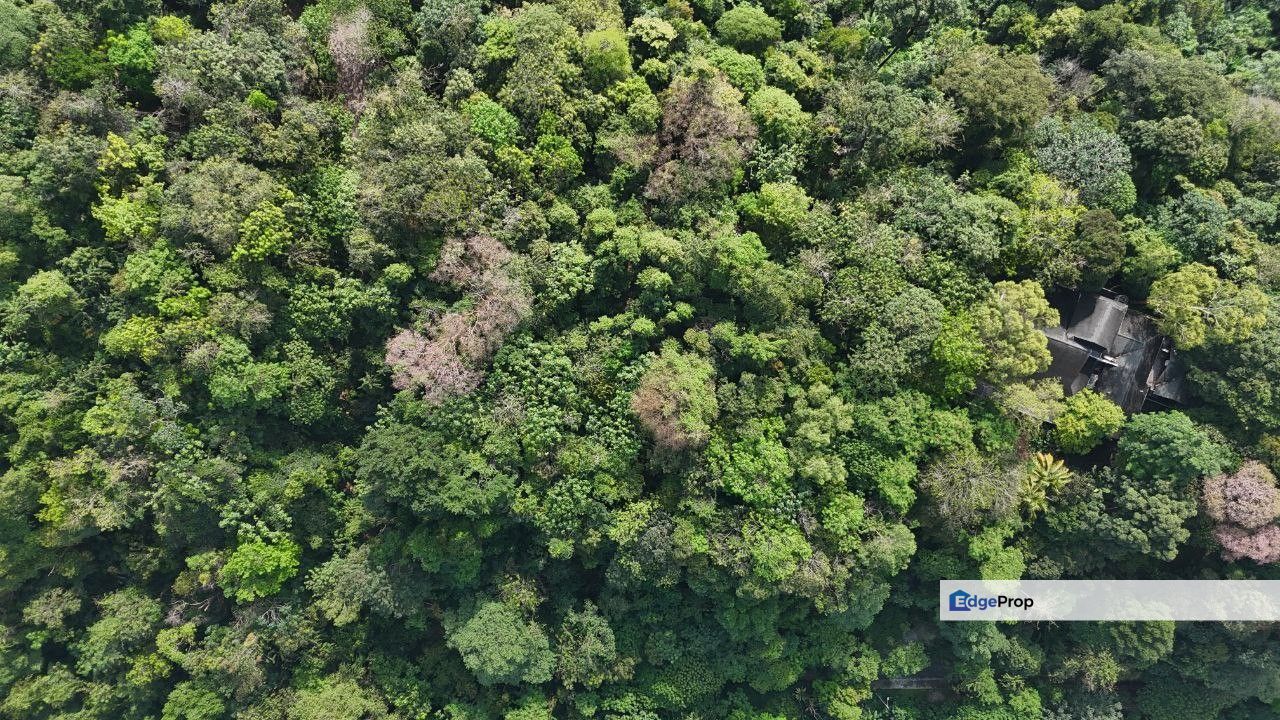 Exclusive Hilltop Land Sungai Penchala Kuala Lumpur, Kuala Lumpur, Kampung Sungai Penchala