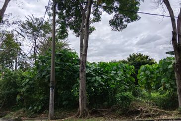 Seksyen 18, Shah Alam