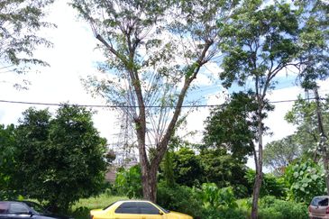 Seksyen 18, Shah Alam