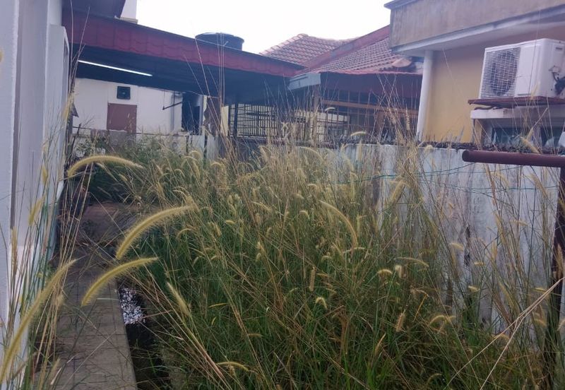 Jalan Sopan, Johan Setia