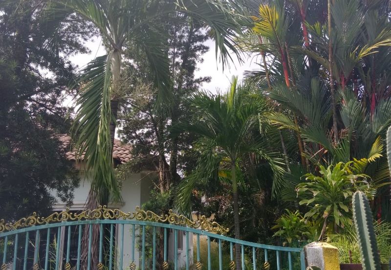 Jalan Sopan, Johan Setia