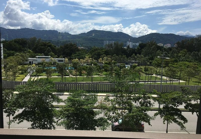 The Light Collection II