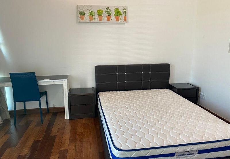 The Light Collection II