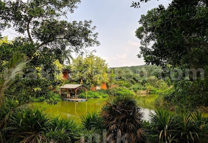 Please call us to setup a date for an interior viewing and side deal