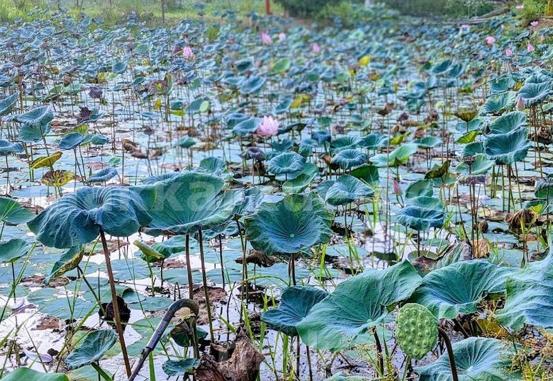 Please call us to setup a date for an interior viewing and side deal