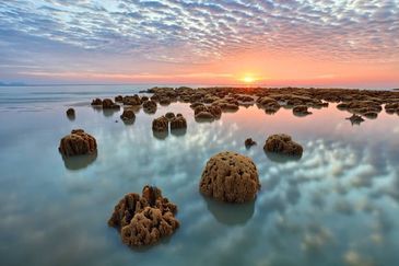 Please call us to setup a date for an interior viewing and side deal