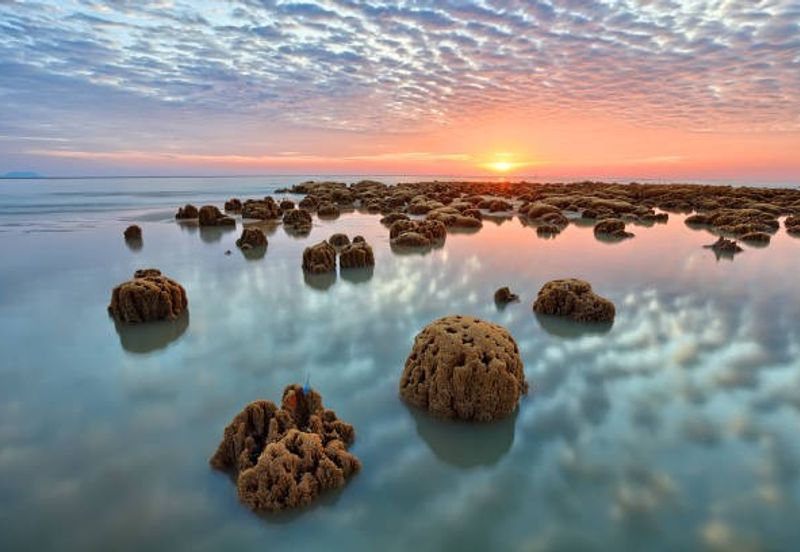 Please call us to setup a date for an interior viewing and side deal