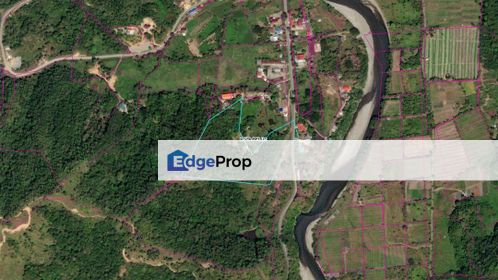 Roadside NT Agriculture Land For Sale, Sabah, Kota Belud