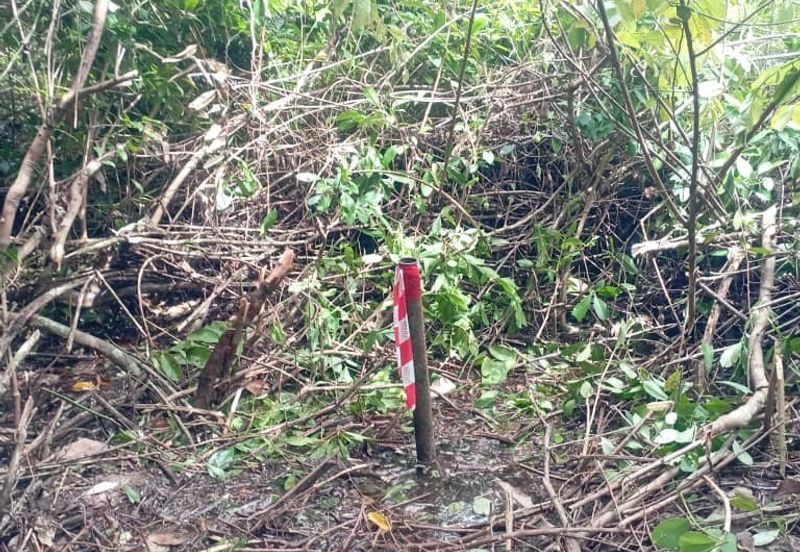 Kimanis Roadside Land For Sale