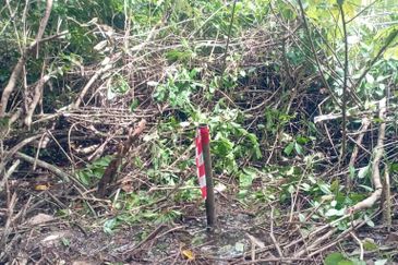 Kimanis Roadside Land For Sale