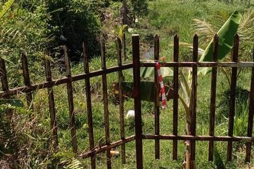 Kimanis Roadside Land For Sale