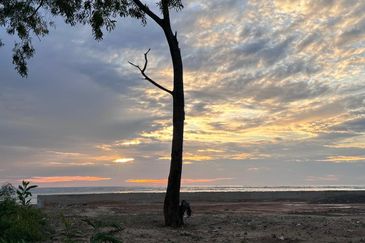 Seaside Bungalow Lot For Sale