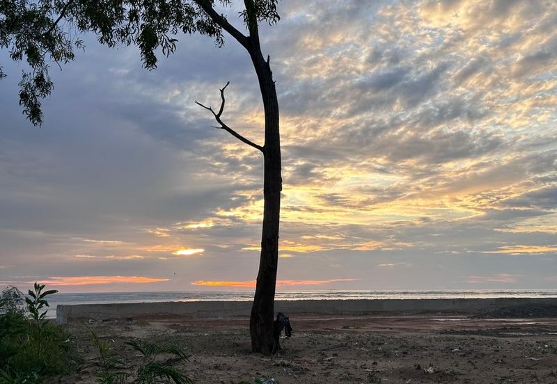 Seaview Bungalow Lot For Sale