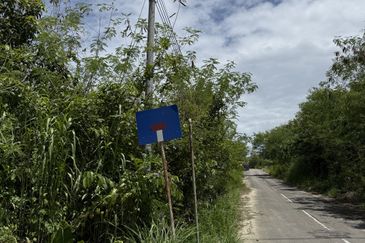 Pine Valley Park Bungalow Lot for Sale