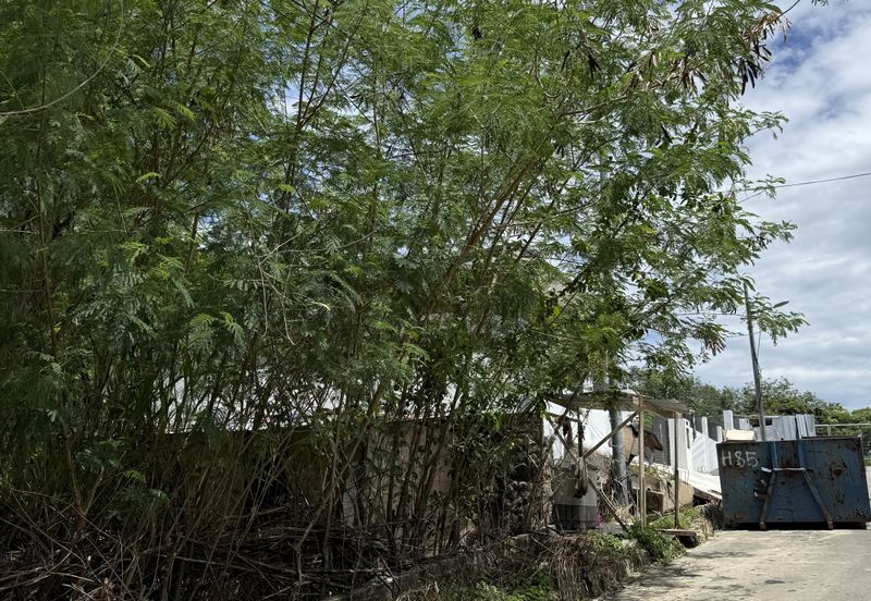 Pine Valley Park Bungalow Lot for Sale