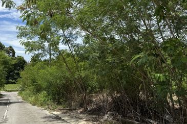 Pine Valley Park Bungalow Lot for Sale