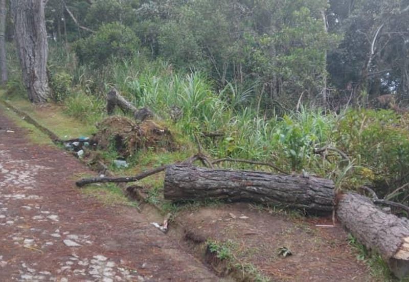 Bungalow Lot at Mount Kinabalu Golf Club For Sale