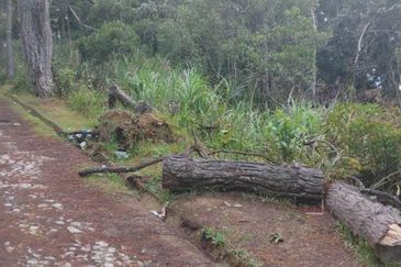 Bungalow Lot at Mount Kinabalu Golf Club For Sale