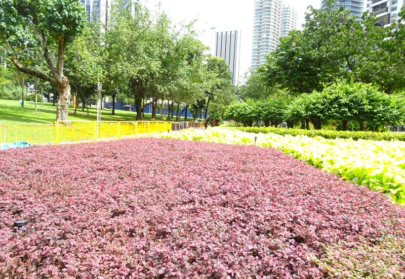 Petronas Twin Towers