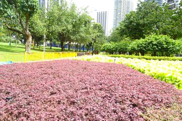 Petronas Twin Towers