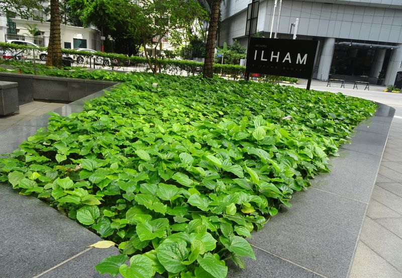 Menara Ilham (Ilham Tower)