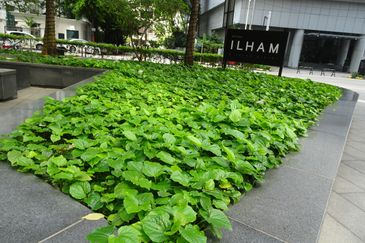 Menara Ilham (Ilham Tower)