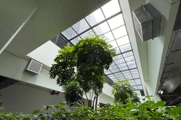 Hap Seng Business Park