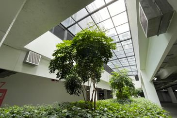 Hap Seng Business Park