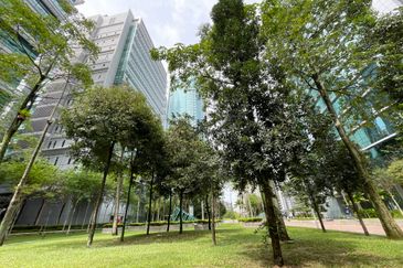 Bangsar South MSC Green GBI Low Density Offices - Single Floor Plate