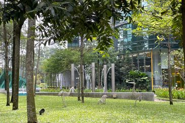 Bangsar South MSC A+ Furnished Offices - Multi Floors