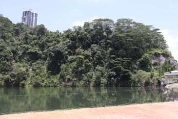 ForestHill Residences