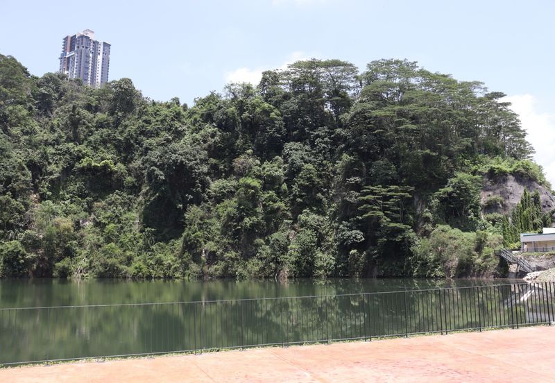 ForestHill Residences