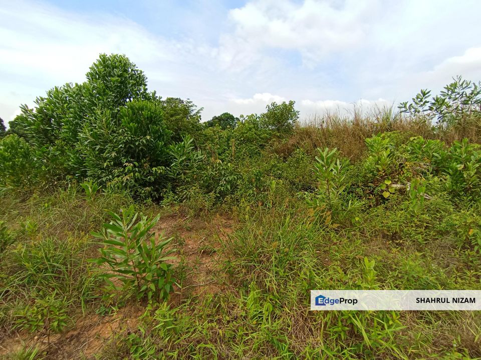 [15 MINIT KE KLIA, BEBAS BANJIR ] Tanah lot Banglo Kg labu lanjut, Sepang, Selangor, Sepang