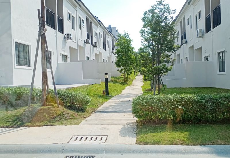 Monet Lily @ Sunsuria City