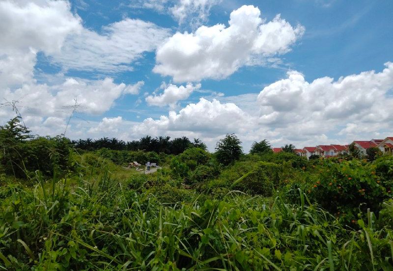 [TANAH LUAS][HARGA BERBALOI] Tanah di Mukim Labu 