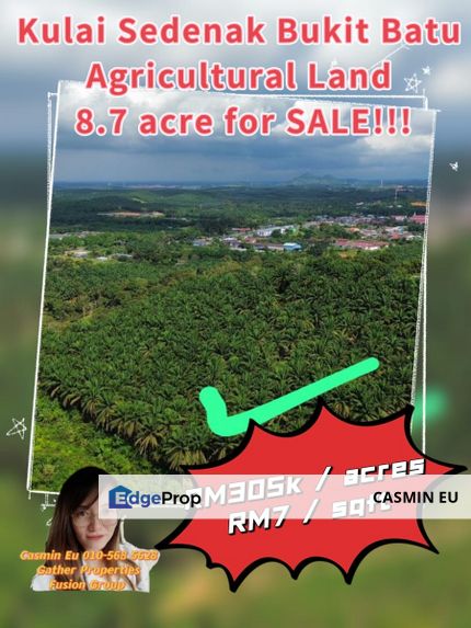 Sedenak Kulai Bukit Batu - Agriculture Land for Sale -8.7acres - RM305k per acre , Johor, Kulai