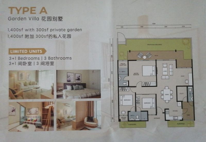 The Seed @ Sutera Utama