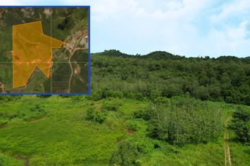 40.46 Hectares of Agricultural land for sale in Jelebu