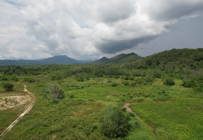 40.46 Hectares of Agricultural land for sale in Jelebu