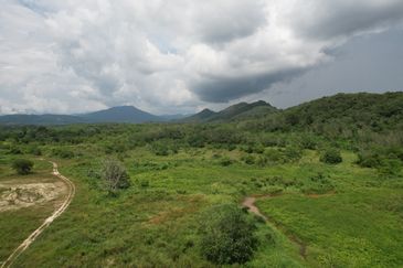 40.46 Hectares of Agricultural land for sale in Jelebu