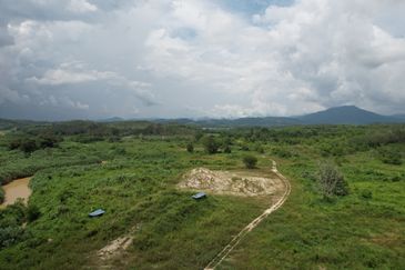 40.46 Hectares of Agricultural land for sale in Jelebu