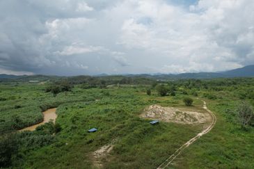 40.46 Hectares of Agricultural land for sale in Jelebu