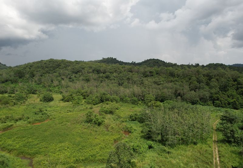 40.46 Hectares of Agricultural land for sale in Jelebu