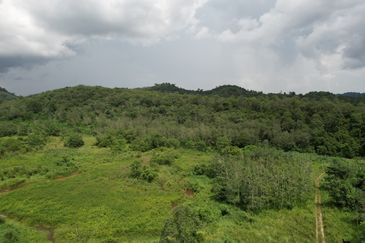 40.46 Hectares of Agricultural land for sale in Jelebu